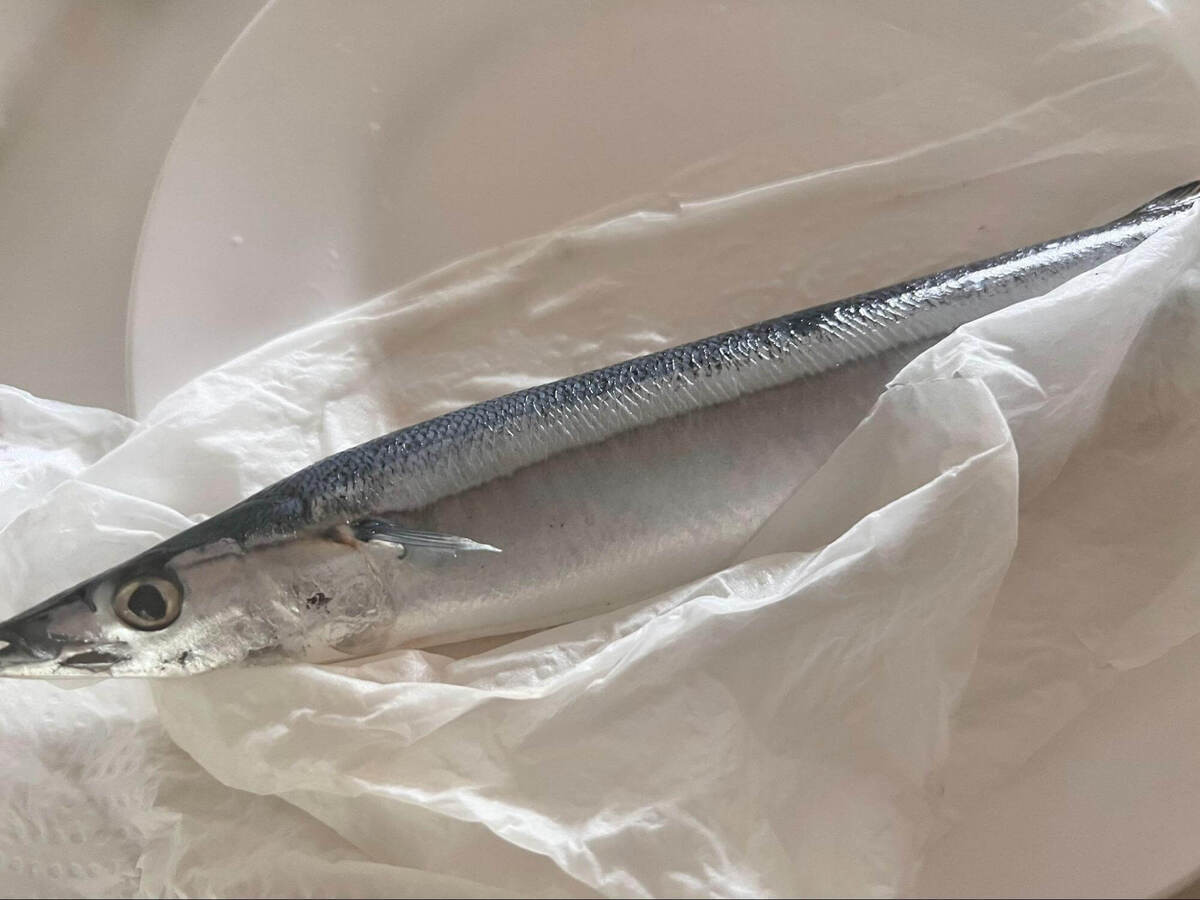 『ためしてガッテン』「究極の秋刀魚の塩焼き」のレシピ