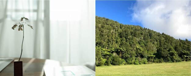 インドア・アウトドア