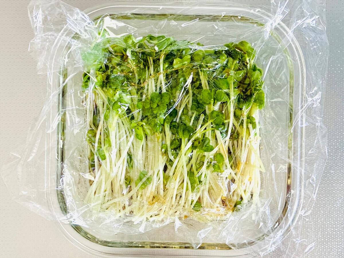 カイワレ大根