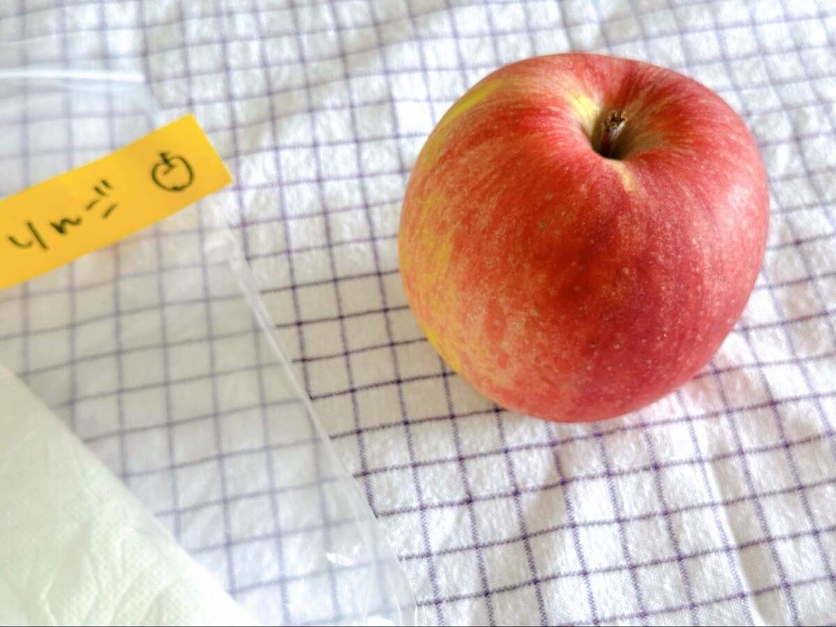 船昌「新鮮長持ち!りんごの保存テクニック」