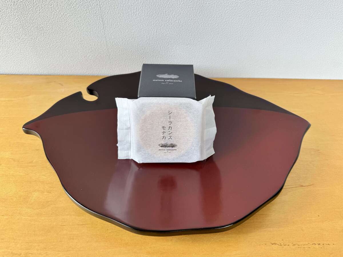 進化系スイーツ「シーラカンスモナカ」
