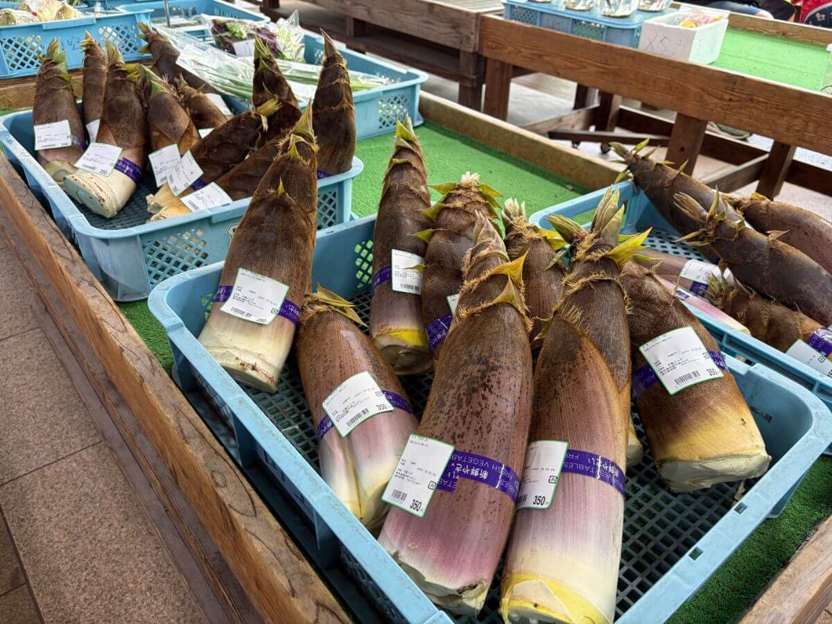 道の駅阿蘇