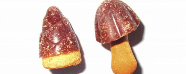 きのこ派・たけのこ派