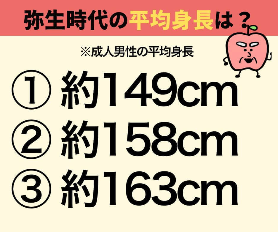 弥生人の身長、どれくらい？
