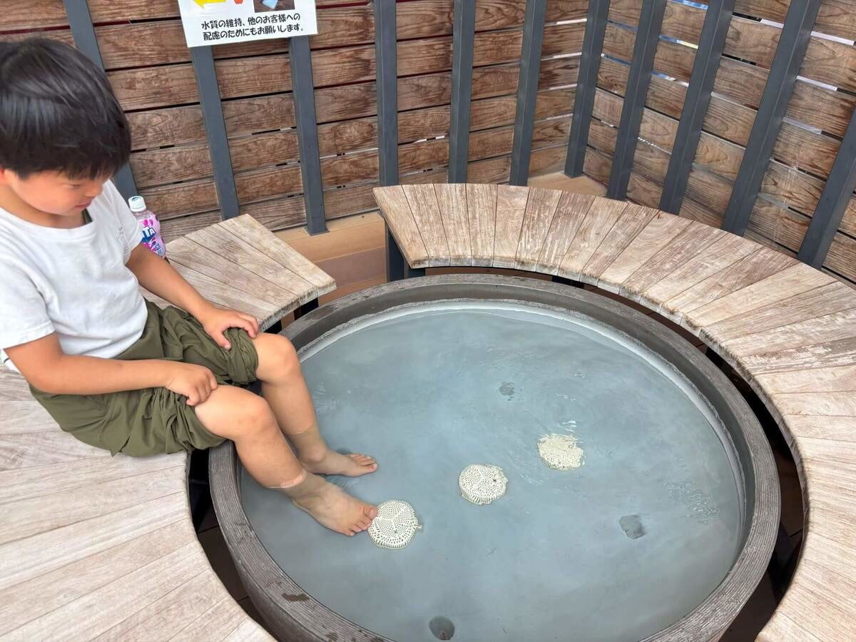「道の駅いたの」