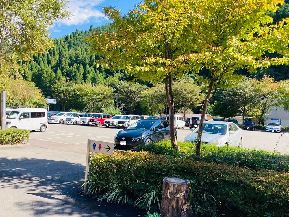 「道の駅 古今伝授の里やまと」