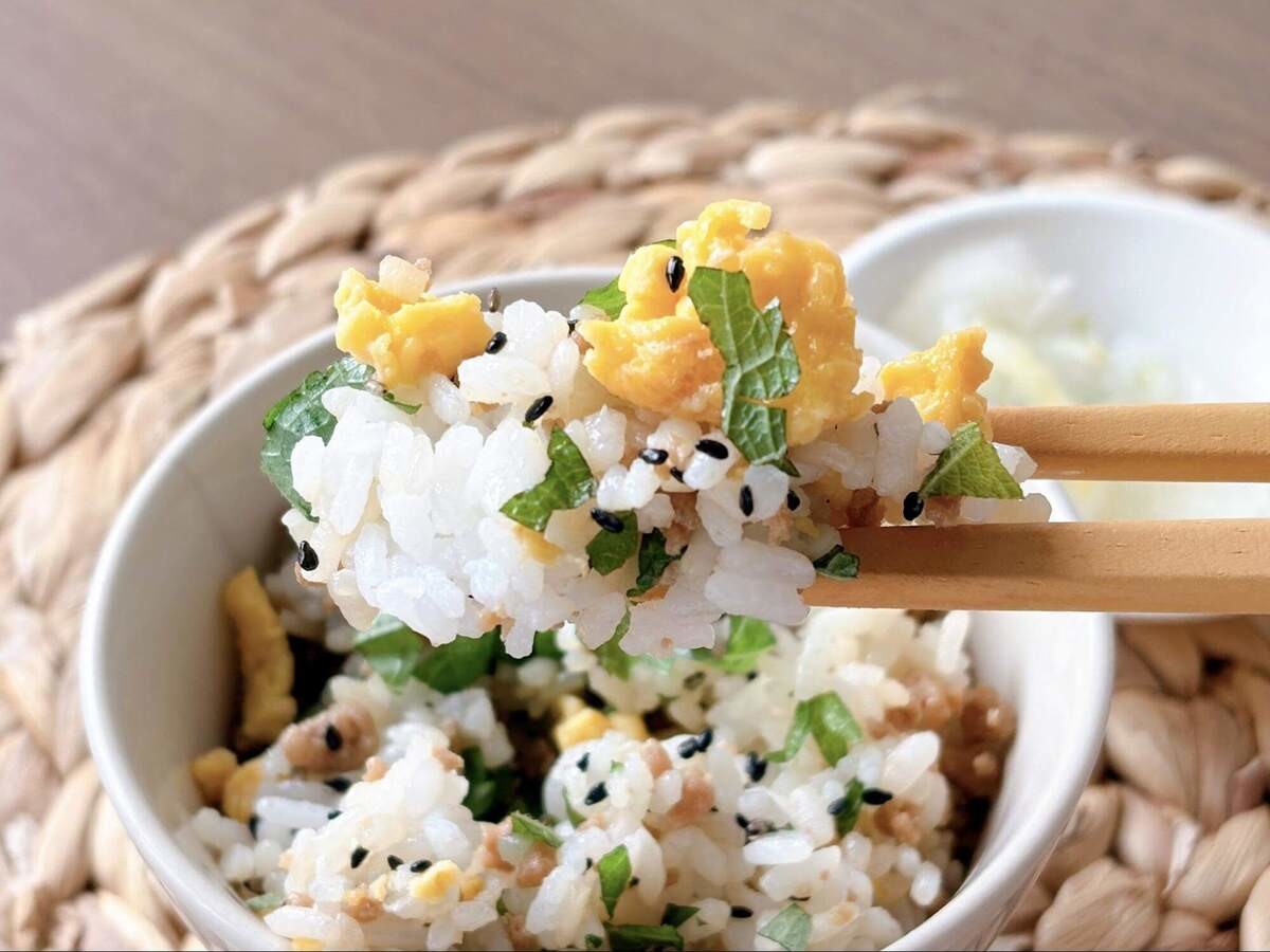 青じそと黒ごまのそぼろご飯