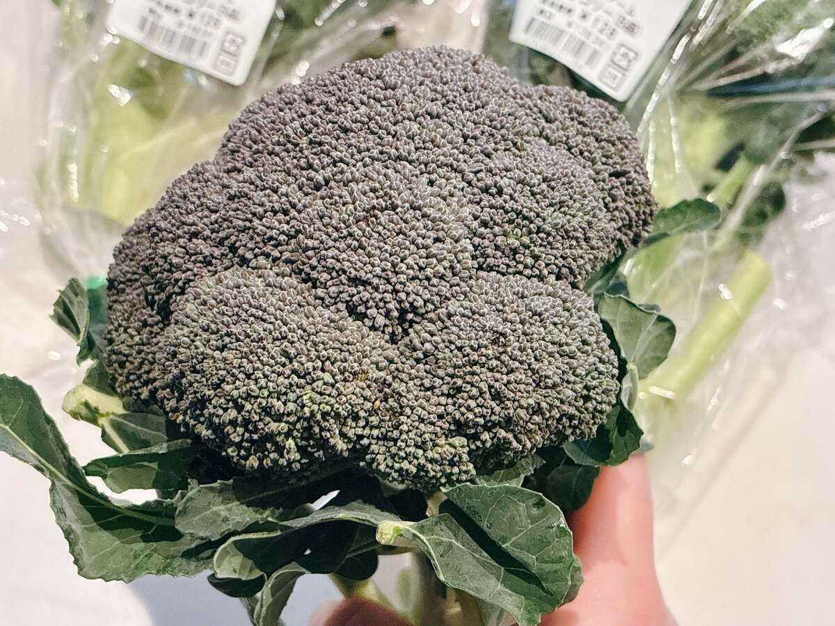 【ヤオコーおすすめ①】ブロッコリー