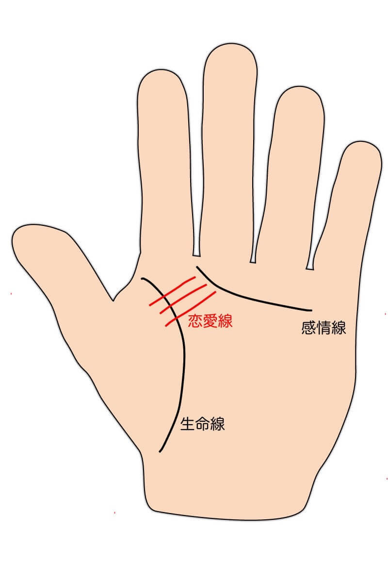 手相でみる恋愛運「恋愛線」とは？