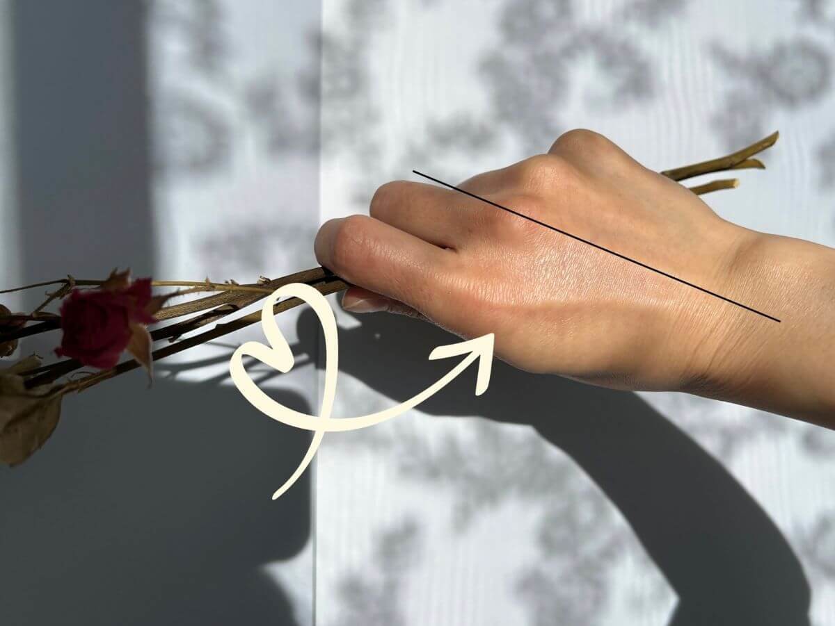 【無印良品】で買う!「1,500円以下」激推し3選