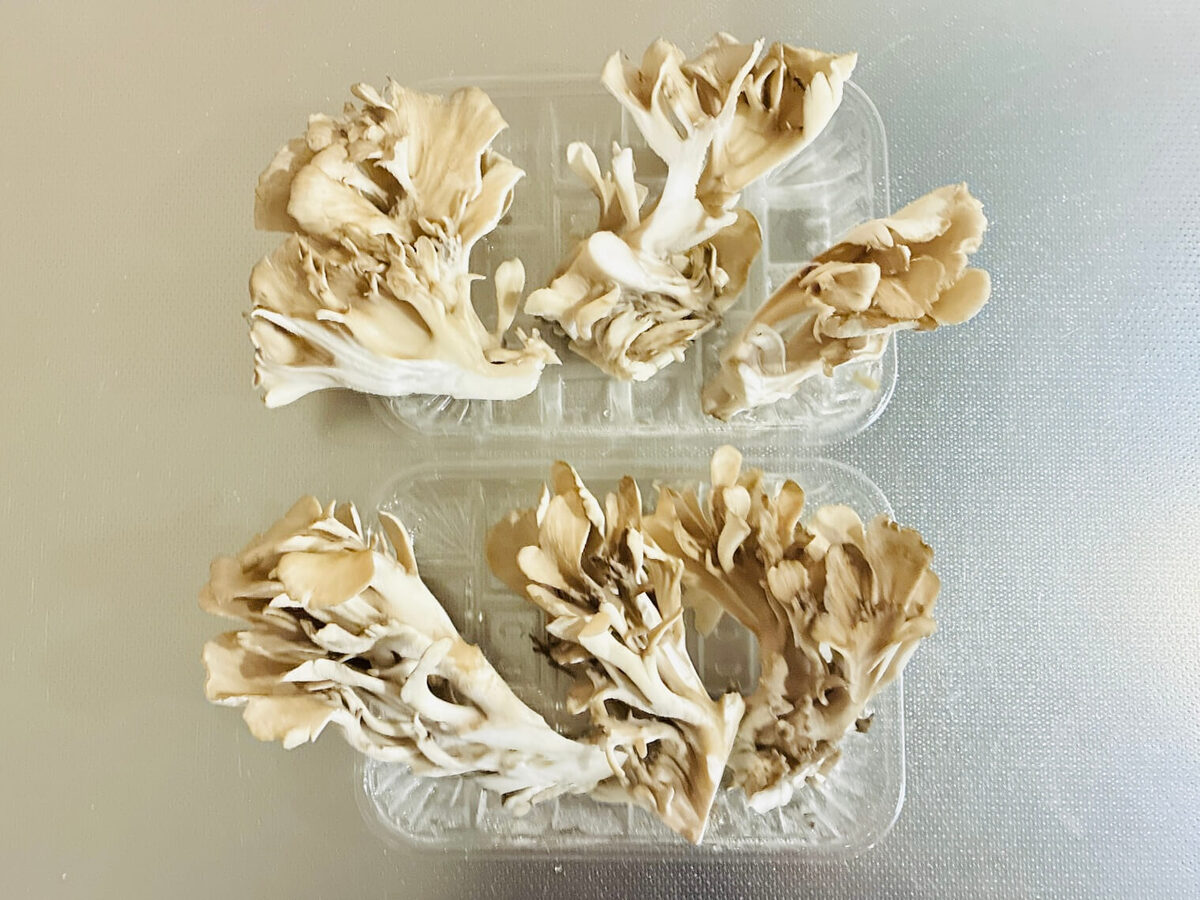 衣が美味しい 雪国まいたけの塩昆布唐揚げ