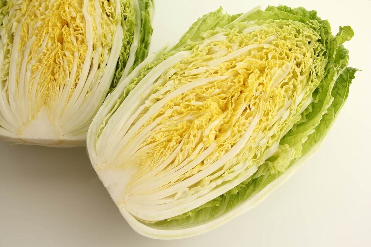 こんな白菜は食べてもOK？