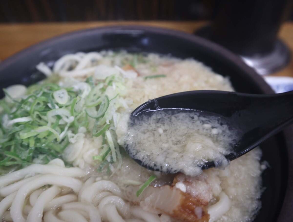 宮崎県「きっちょううどん」実食レポ