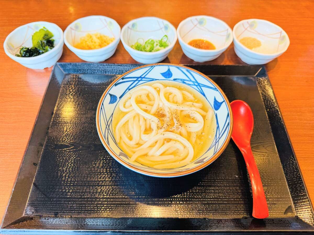 期間限定『冷たーい旨塩うどん』の実食レポ