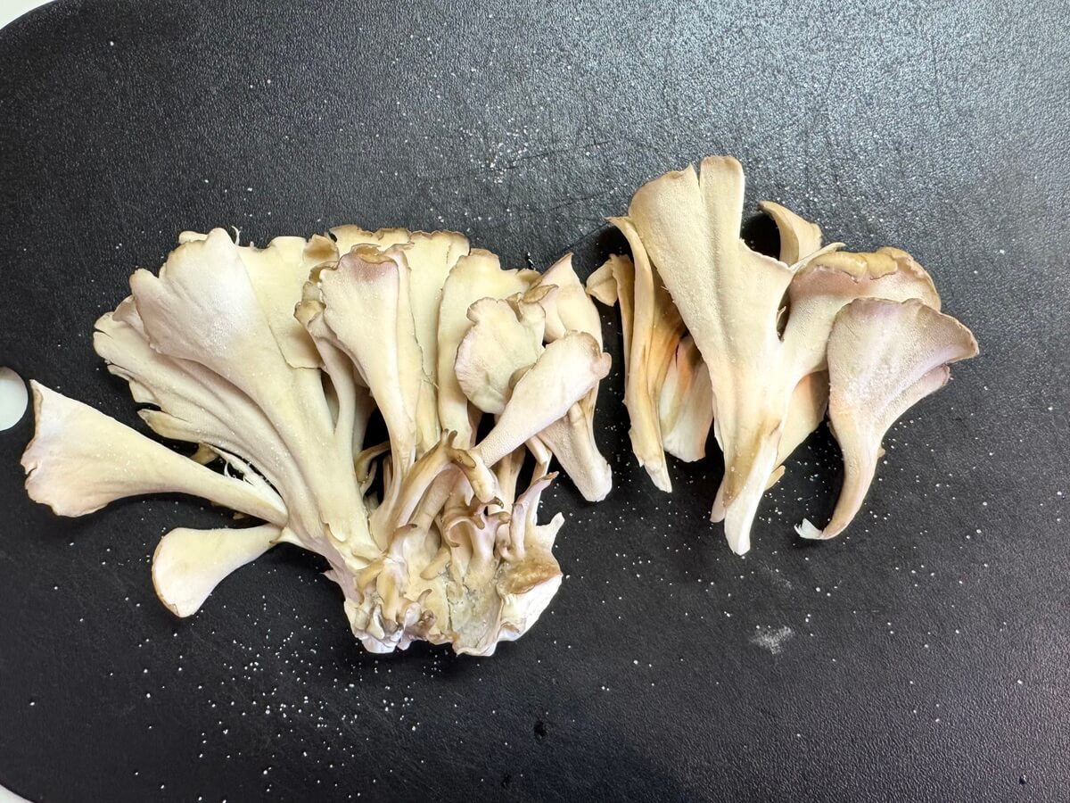 アキオさん「旨味凝縮!カリカリ舞茸のプレスステーキ」