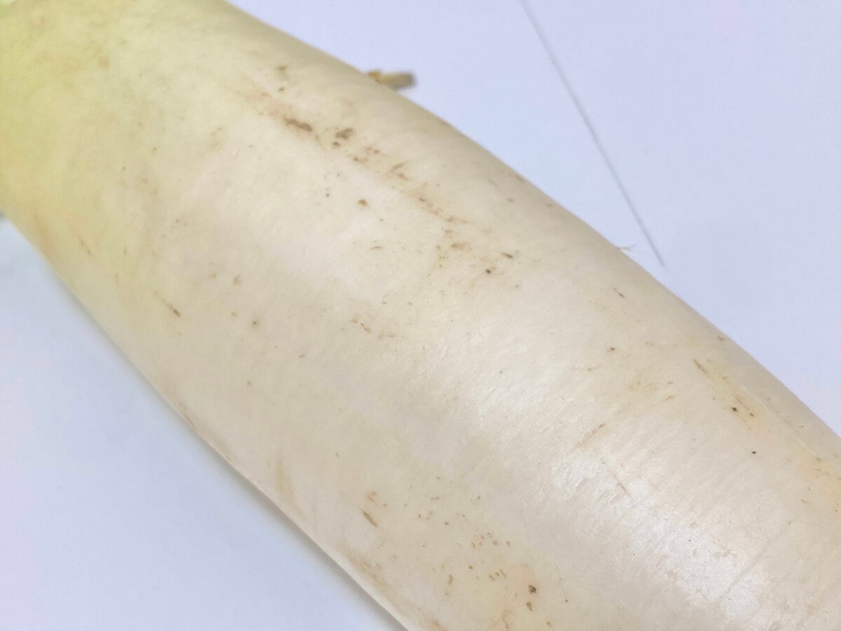 ぶよぶよ・シワシワ大根は、条件付きで食べられます