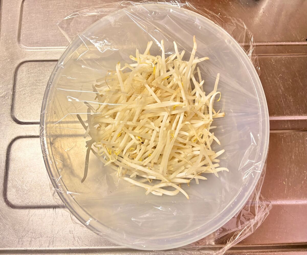 悪魔の壺もやし