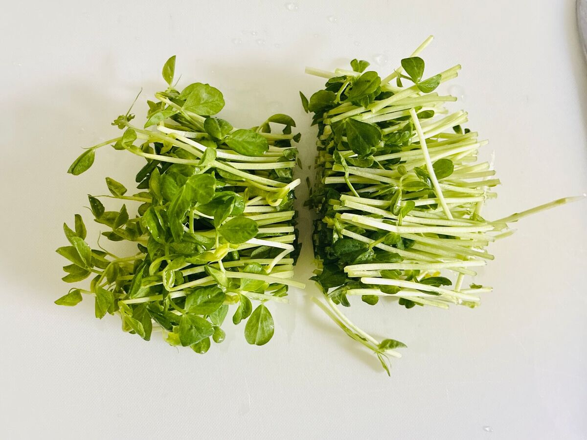 もやし×豆苗の洋風サラダ