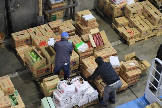 年末年始も賢く乗り切るための買い時と保存術