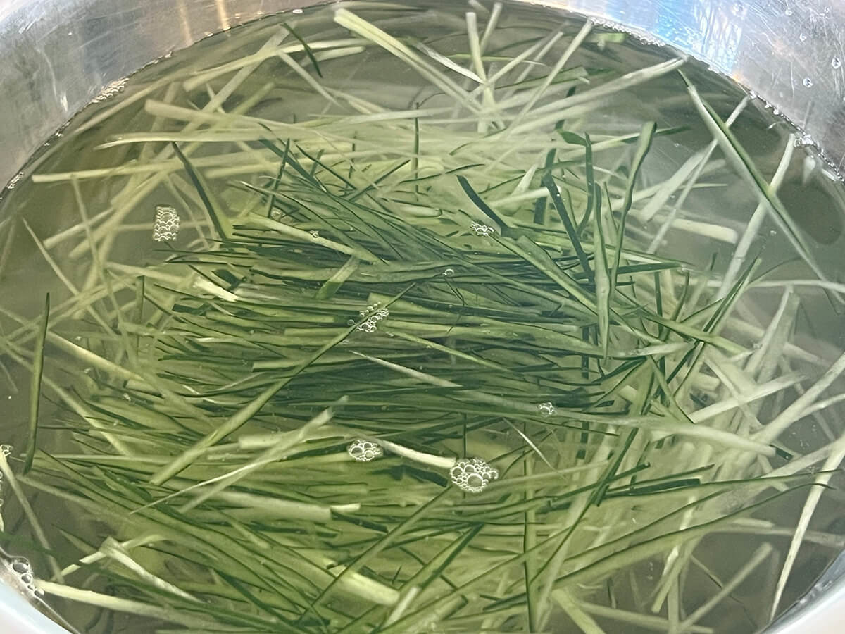 無限きゅうりサラダ