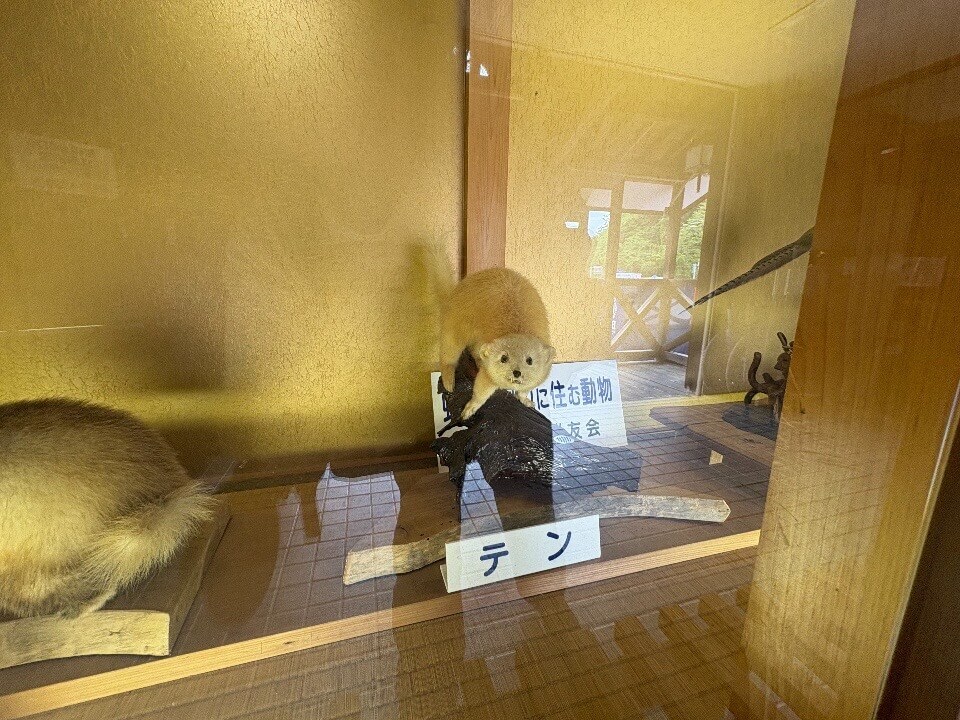 虹の湖公園