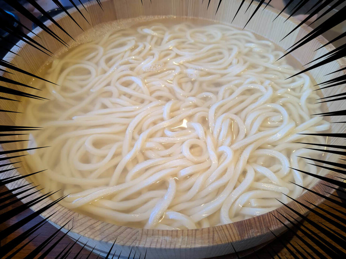 家族釜揚げうどん