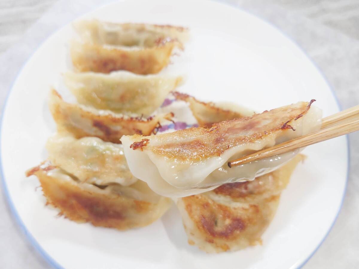 餃子計画『創業の味 生餃子』