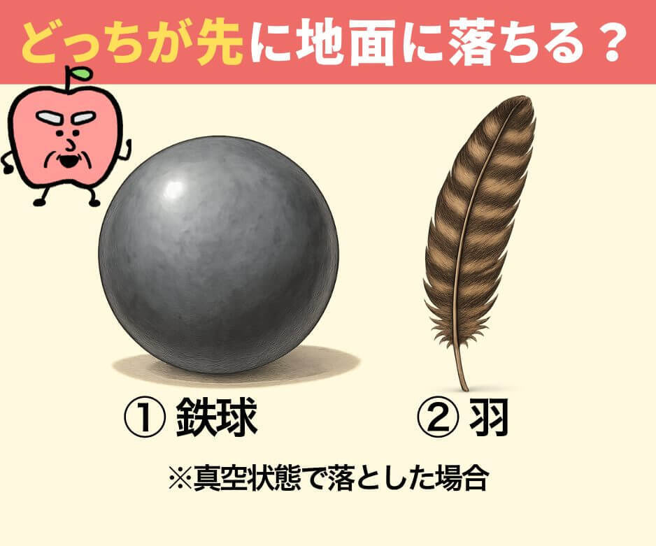 鉄球と羽、先に地面に落ちるのはどっち?