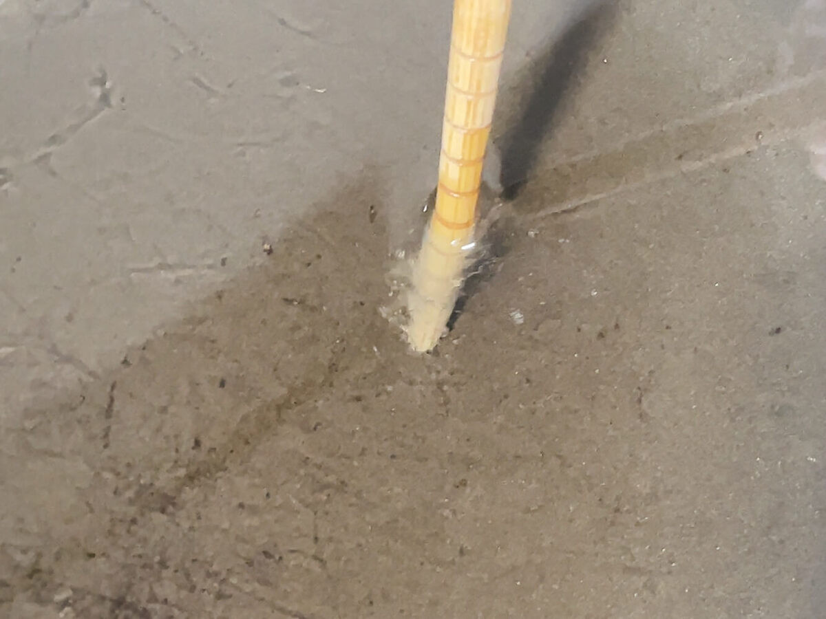 アゲ☆揚げチキン