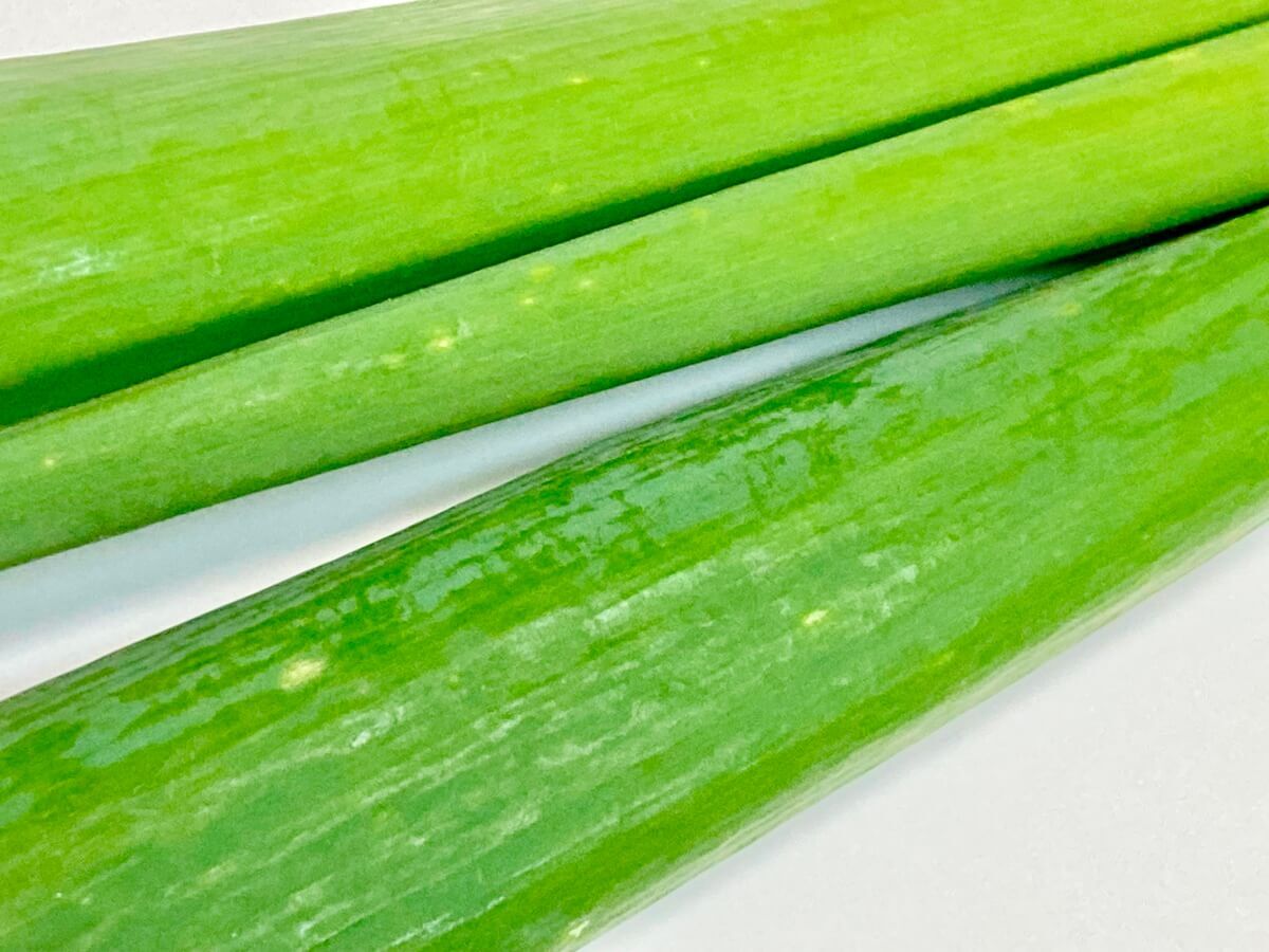 【長ネギの見分け方】おいしい特徴とは？
