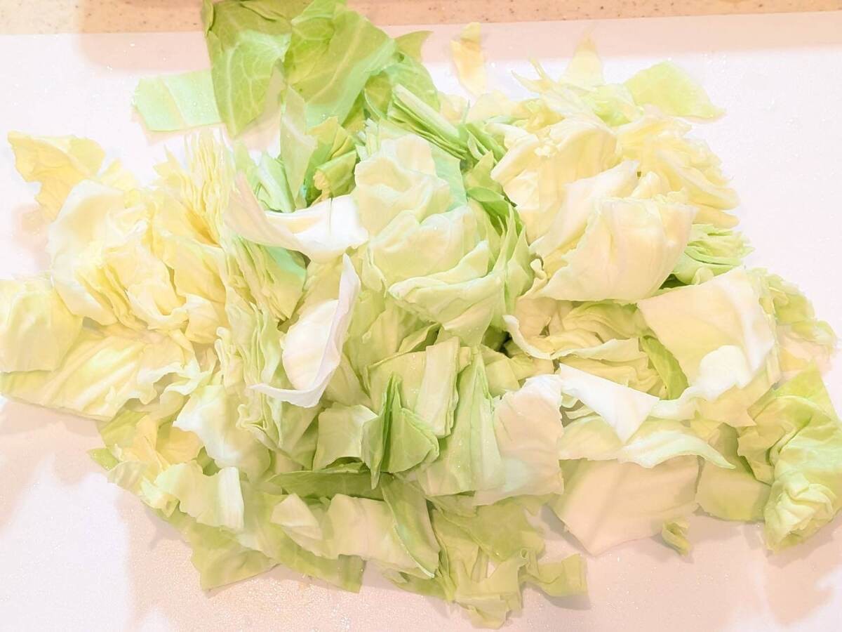 和田明日香さん「おうちのハンバーグ」