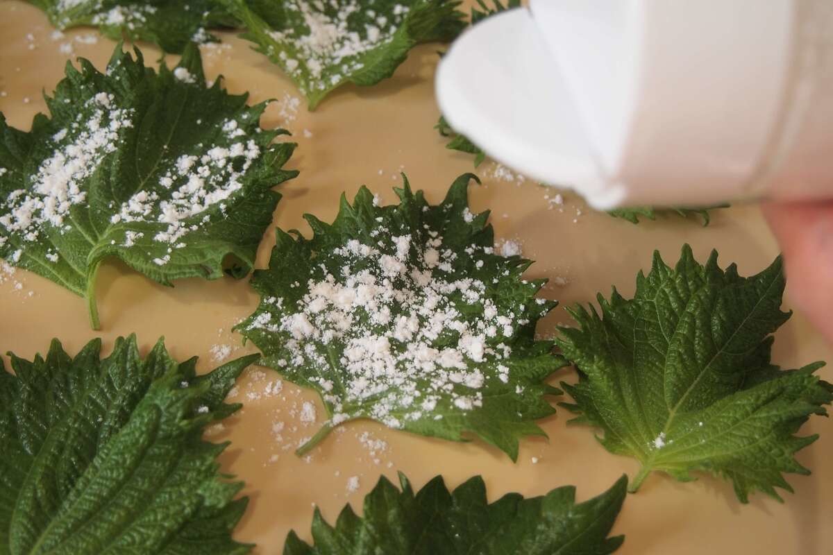 大葉が主役！簡単副菜レシピ「大葉の黄金焼き」