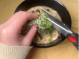 ブロッコリースプラウトとは?